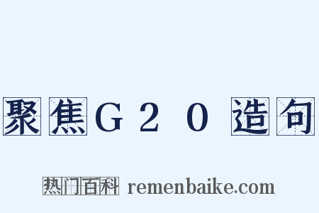 聚焦G20造句是什么意思的图片